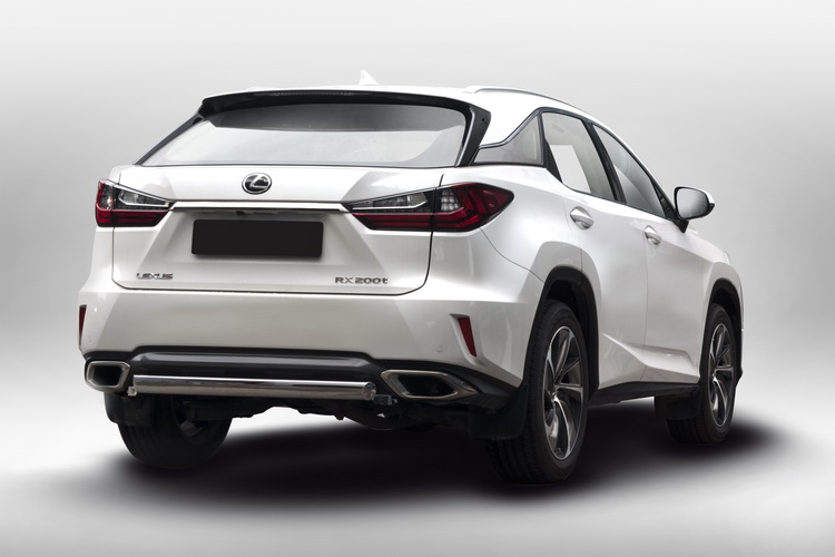 ЗАЩИТА ЗАДНЯЯ ОВАЛЬНАЯ 75Х42 LEXUS RX 2015