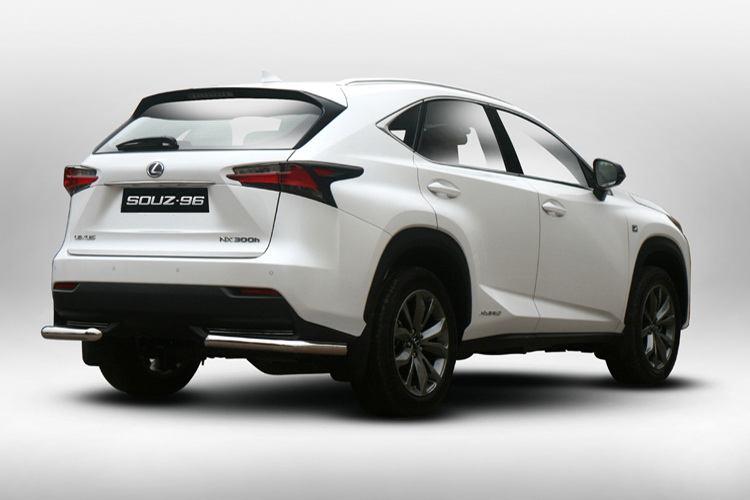 ЗАЩИТА ЗАДНЯЯ "УГОЛКИ" D60 XL(ОДНА ВЫХЛОПНАЯ ТРУБА) LEXUS NX 2014